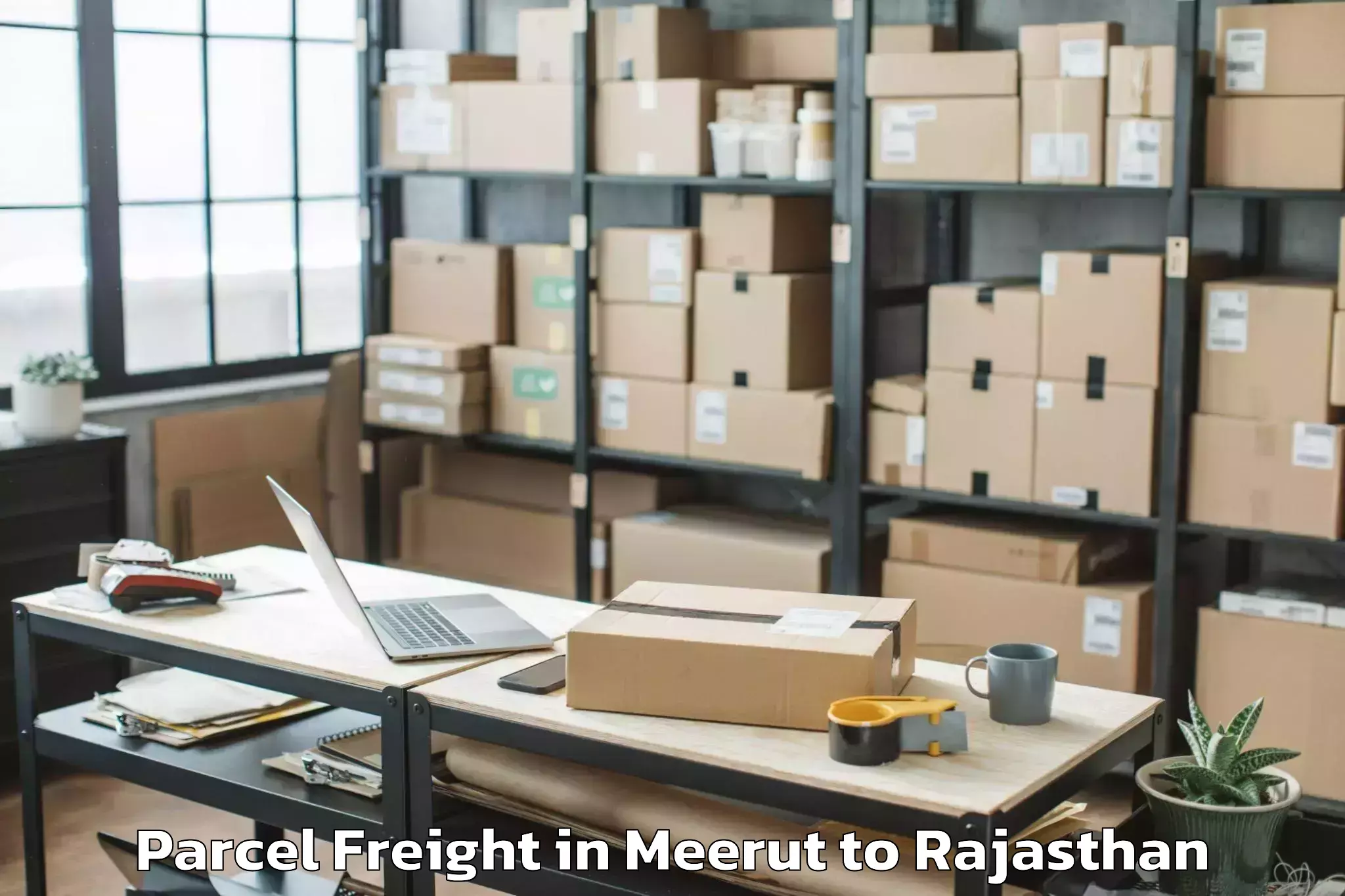 Trusted Meerut to Haridev Joshi University Of Jo Parcel Freight